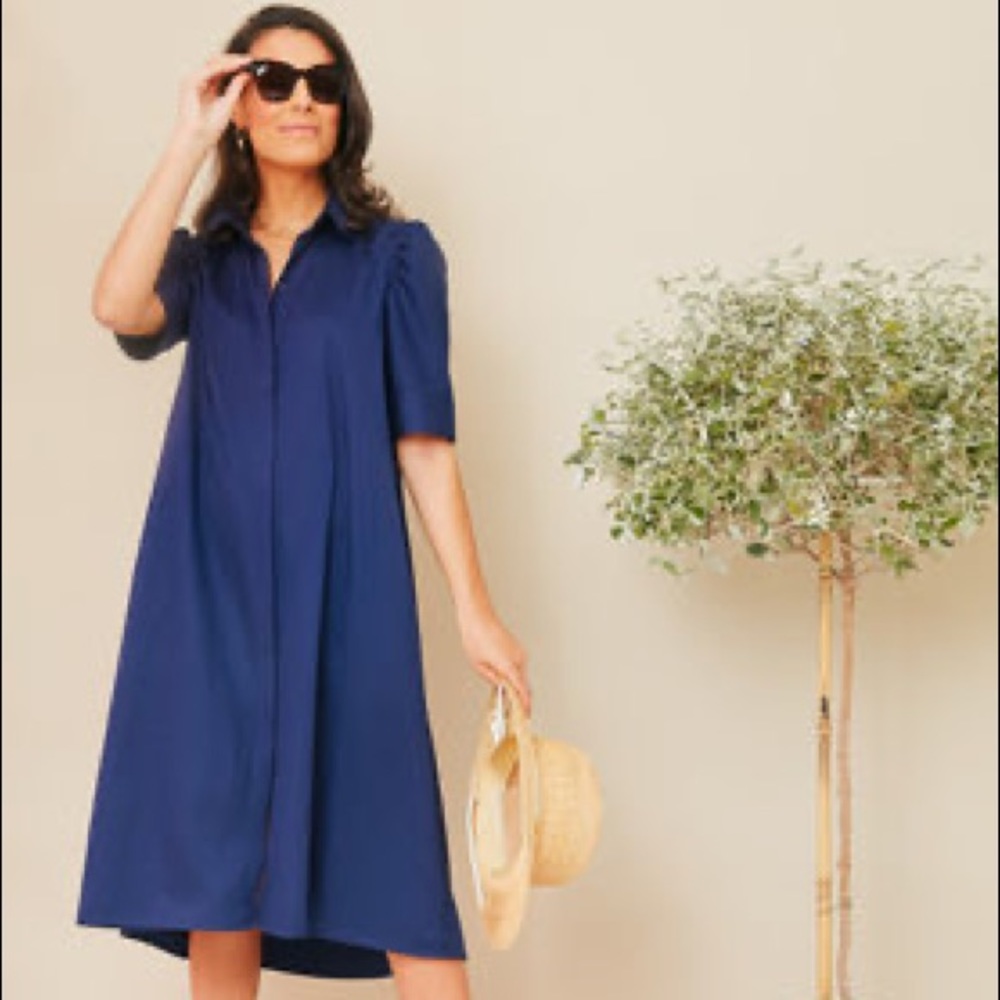 Pomander place navy puff sleeve dress
